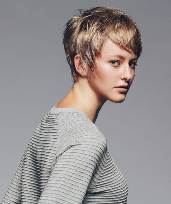 Langer Pixie Cut 3