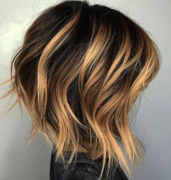 Balayage fr Kurzhaar 3