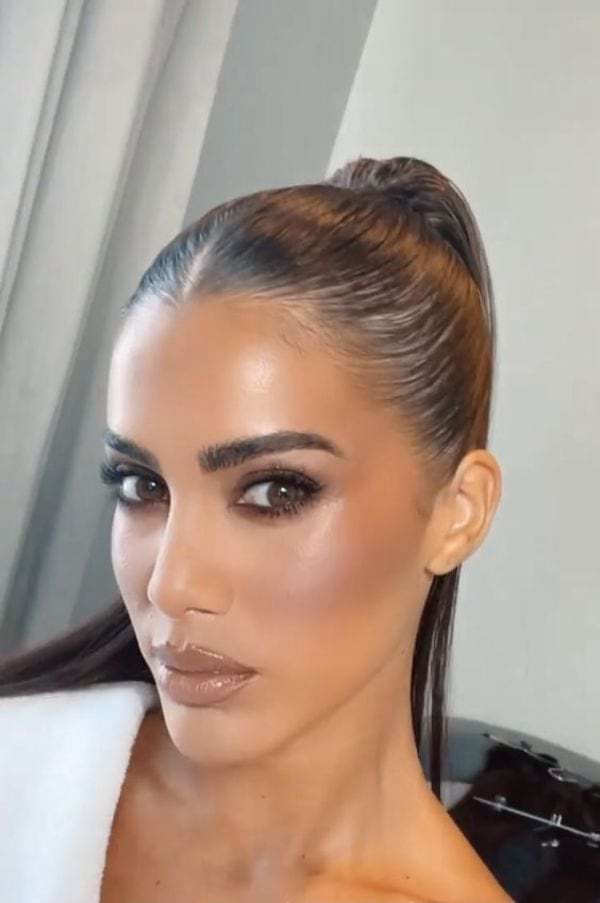 Sleek Ponytail