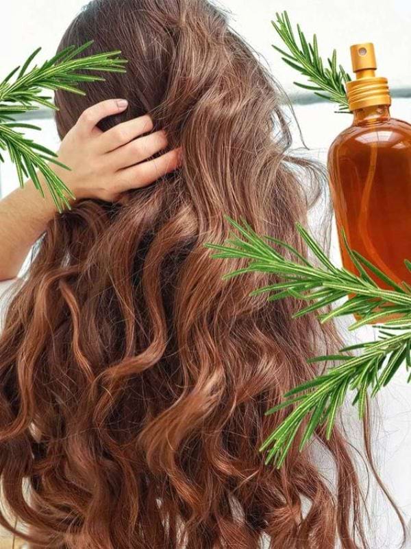 Die Wirkung von Rosmarinwasser fuer die Haare