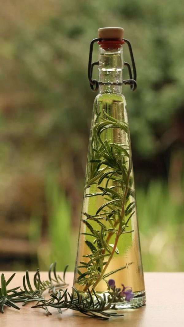 Was ist der Unterschied zwischen Rosmarinwasser und Rosmarinoel fuer die Haare?